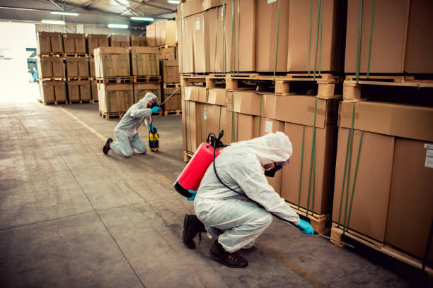 Trusted Richfield, MN Pest Control Experts