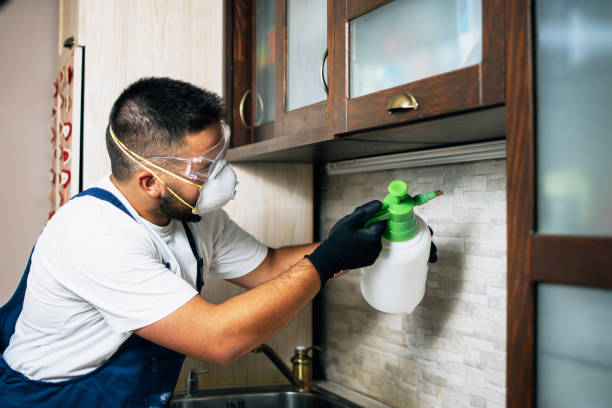 Best Pest Control Near Me  in Richfield, MN