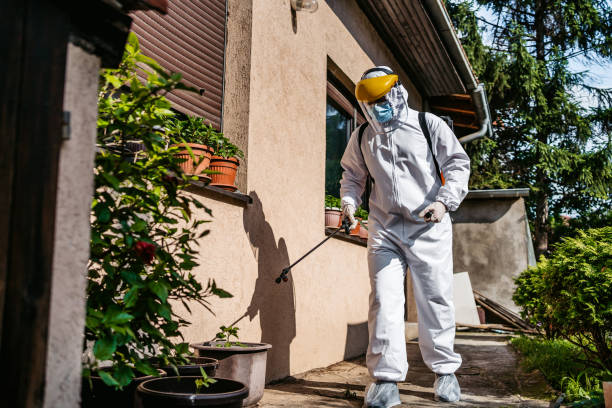 Best Flea Control Services  in Richfield, MN