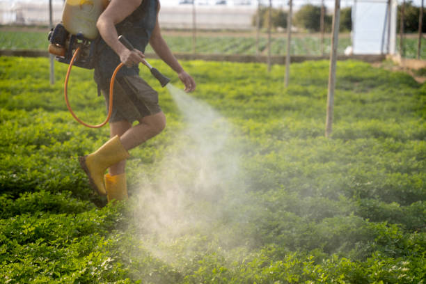 Pest Control for Restaurants in Richfield, MN