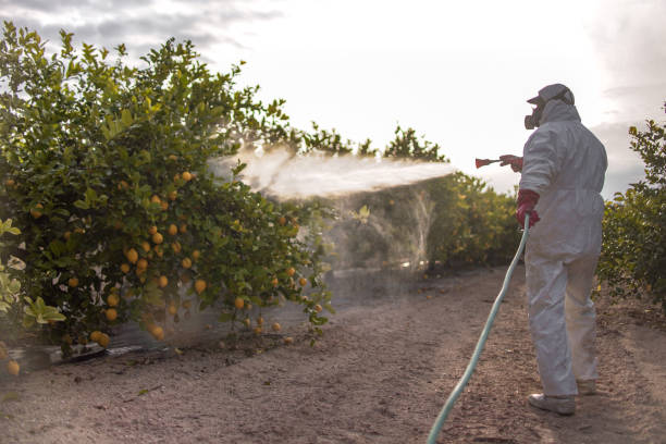 Best Affordable Pest Control Services  in Richfield, MN