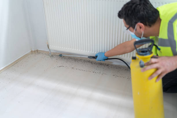 Best Best Pest Control Companies  in Richfield, MN